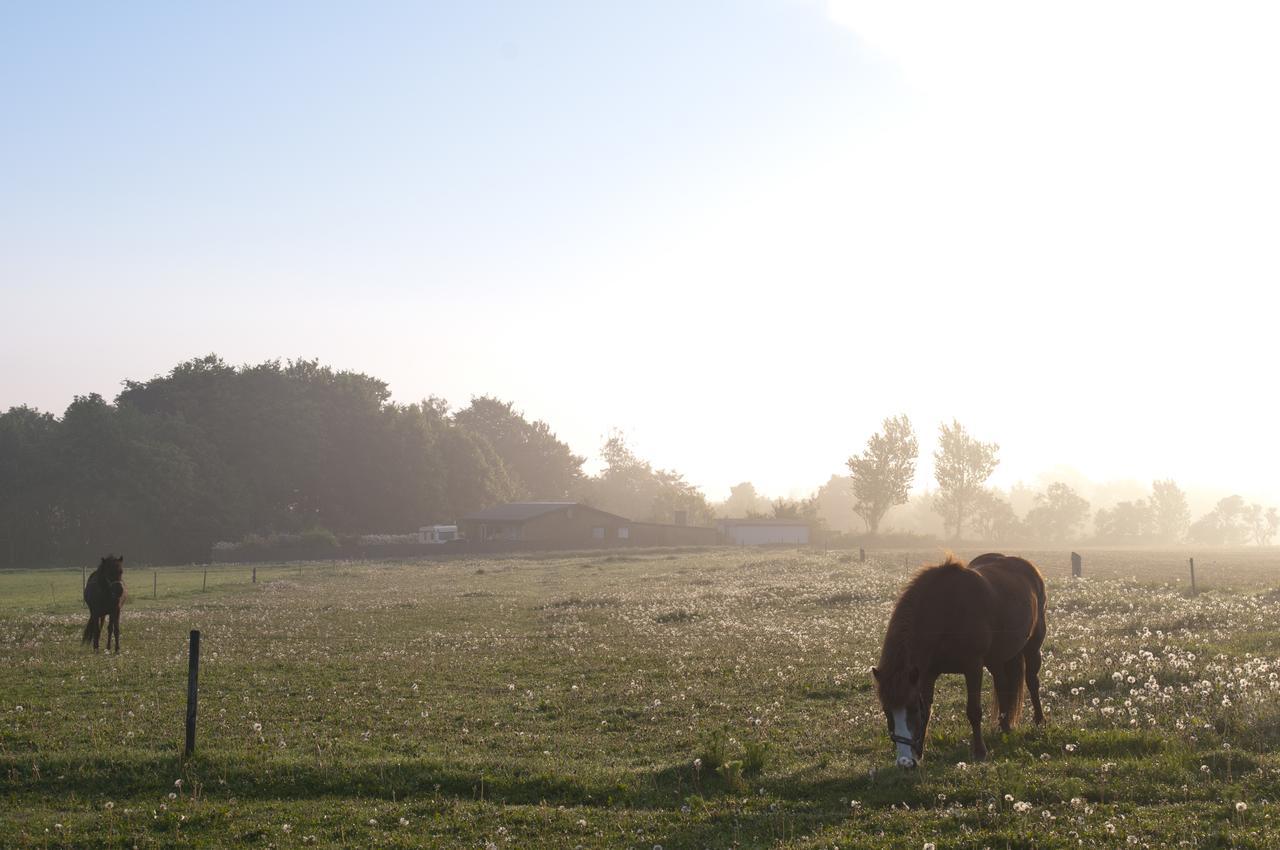 Kardybvej 8 Bed & Breakfast Tastum Eksteriør bilde